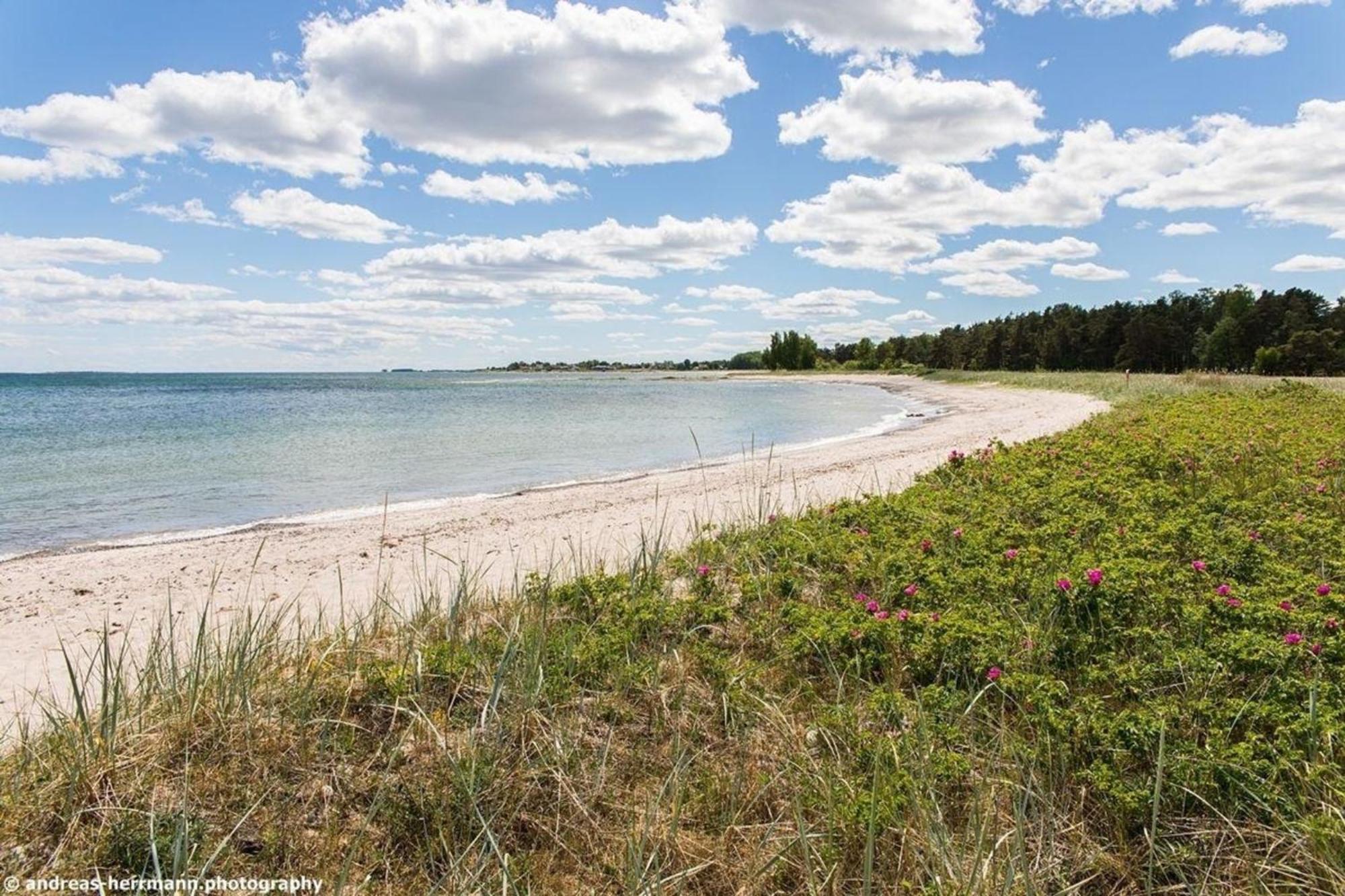 Neues Ferienhaus Auf Gotland 700 Meter Zum Meer Villa Ljugarn Eksteriør bilde