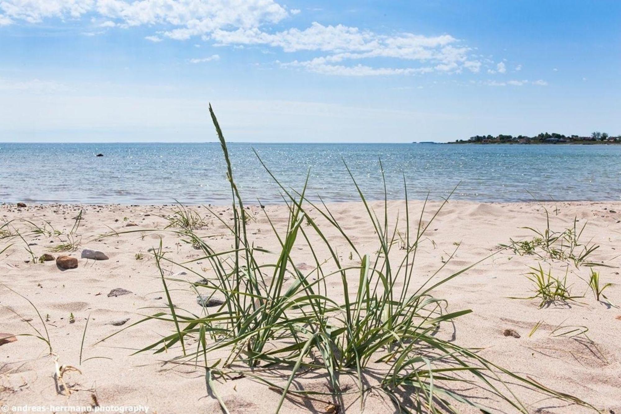 Neues Ferienhaus Auf Gotland 700 Meter Zum Meer Villa Ljugarn Eksteriør bilde